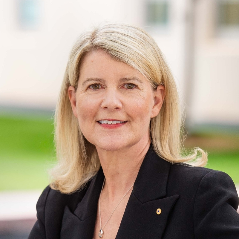Natasha Stott Despoja AO image