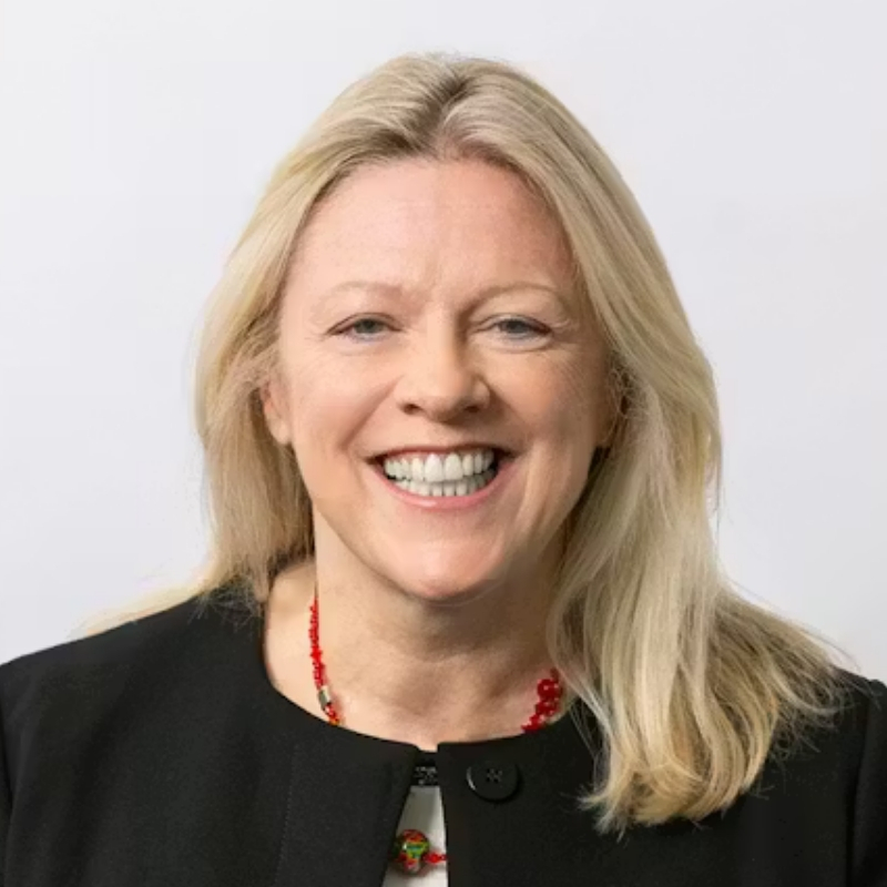 Professor Shelley Dolan image