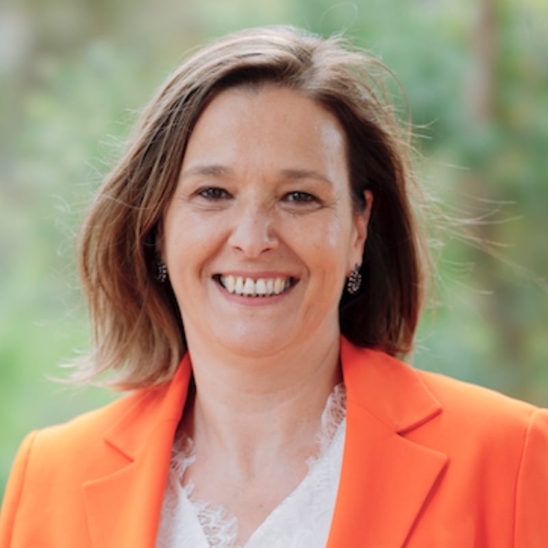 Professor Selen Ercan image